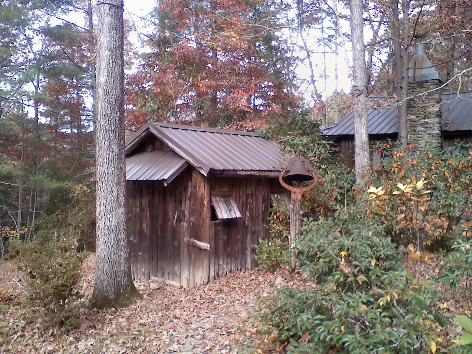 Small metal roof on a rough sawn shed in the woods in Nemacolin